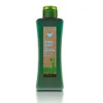 SaLerm Biokera Scalp Care Honey Shampoo